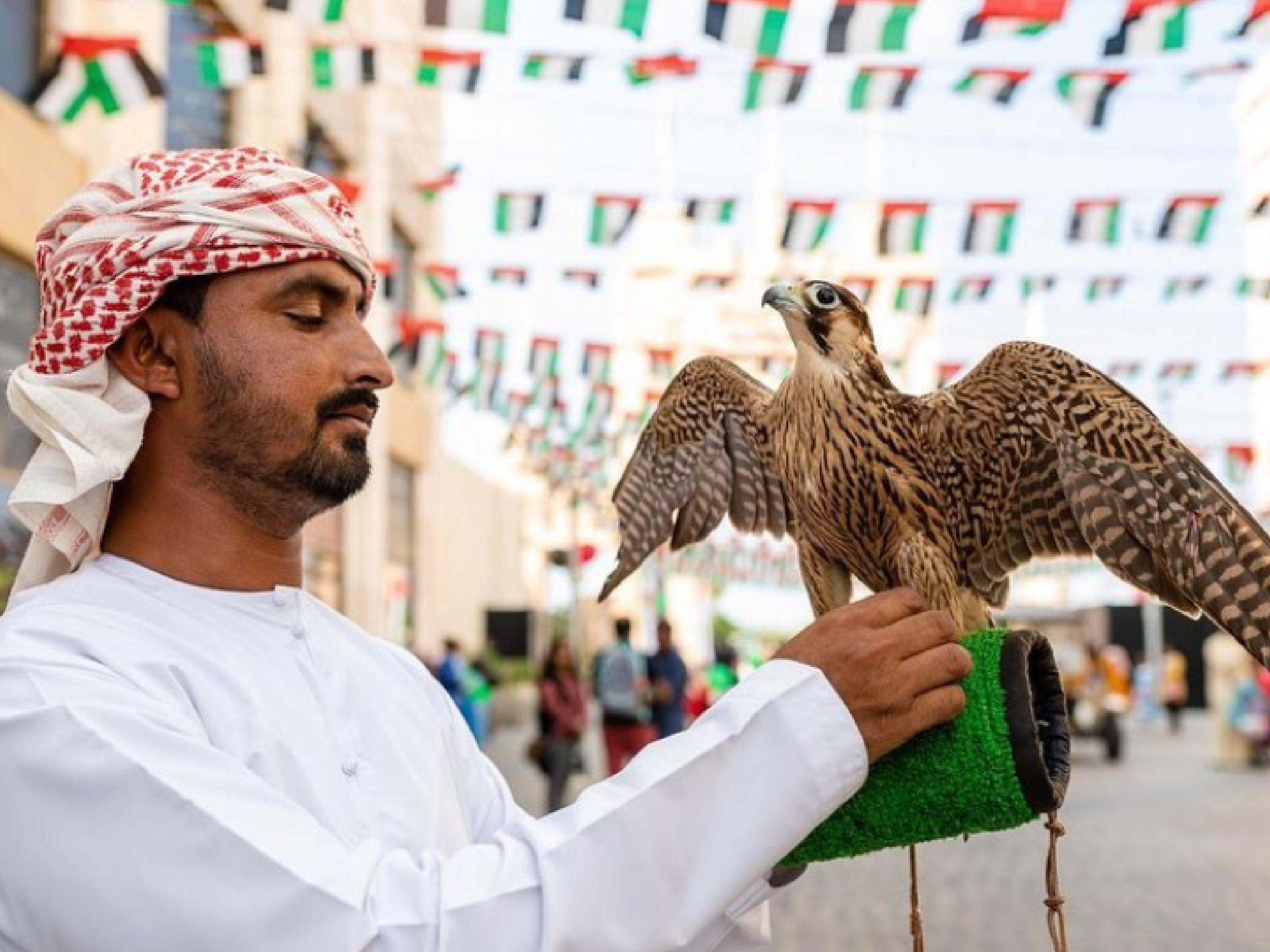 دبي باركس آند ريزورتس تكشف عن باقة واسعة من الفعاليات الرائعة