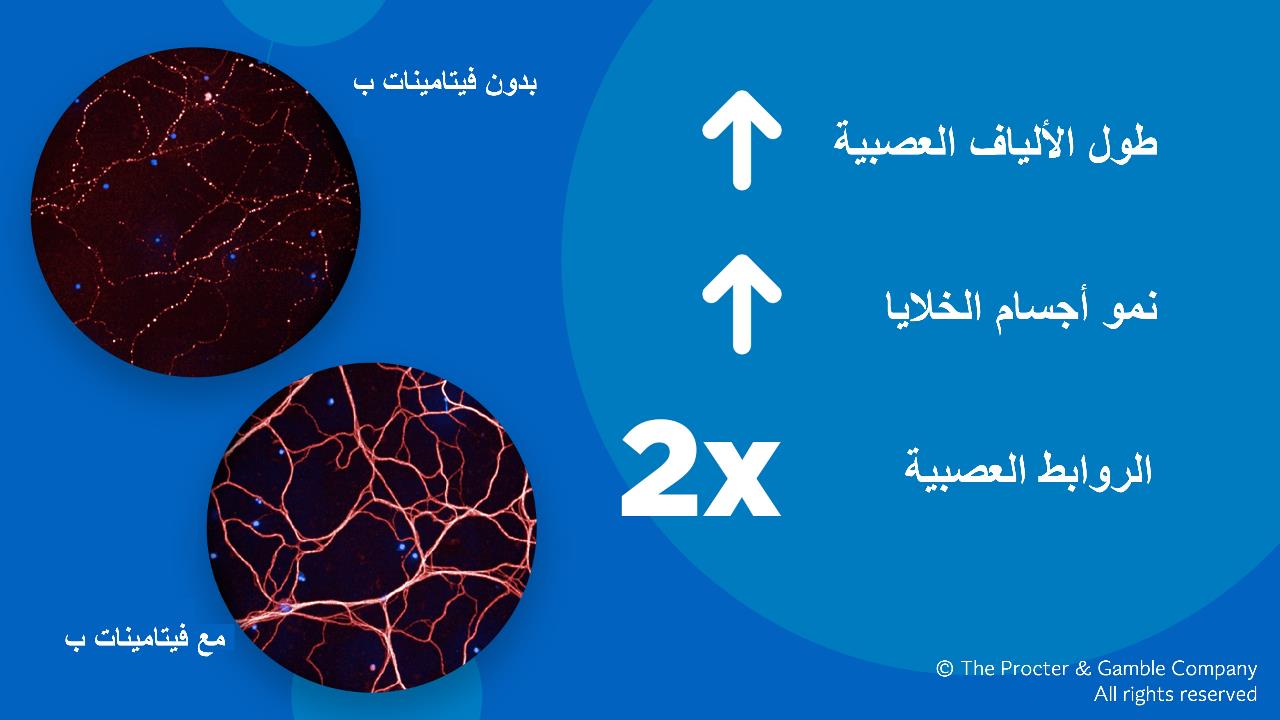 بي آند جي هيلث تحتفل بأسبوع التوعية بالاعتلال العصبي 2023 لتمكين الناس من “إعادة الحياة لأيديهم”